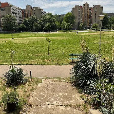 Piano Luxe With Sauna And Bicycles * 贝尔格莱德